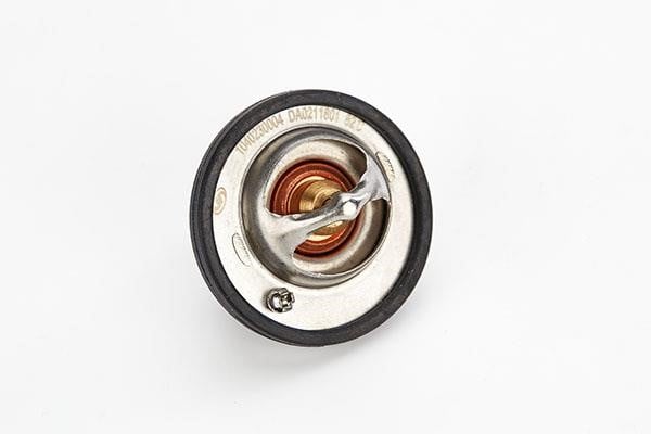 Doda 1040230004 Thermostat, Kühlmittel 1040230004: Kaufen Sie zu einem guten Preis in Polen bei 2407.PL!