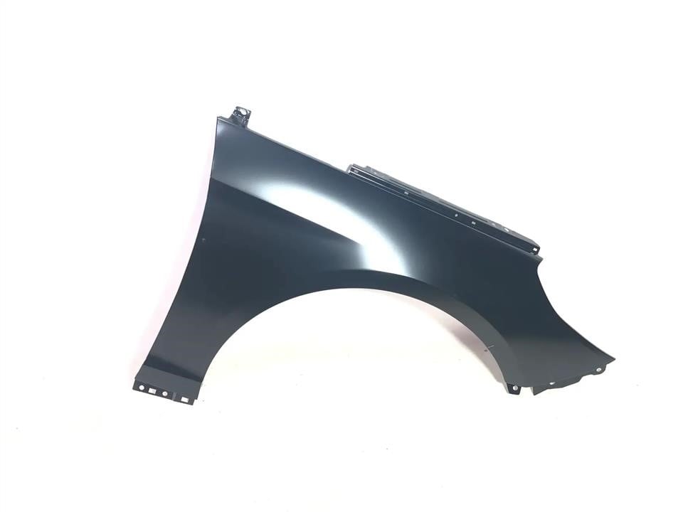 BSS BS-SN-FFR-18 Front fender right BSSNFFR18: Buy near me in Poland at 2407.PL - Good price!