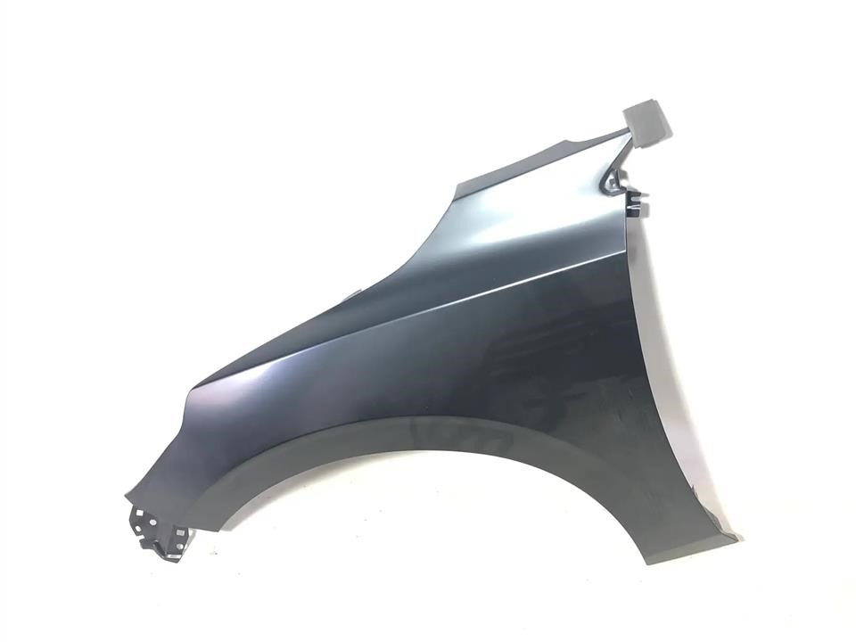 BSS BS-SA-FFL-20 Front fender left BSSAFFL20: Buy near me in Poland at 2407.PL - Good price!
