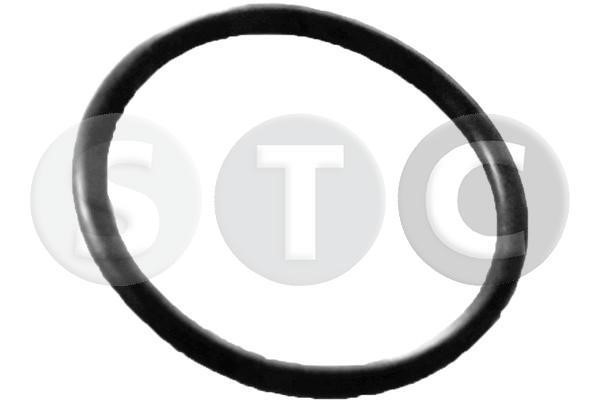STC T439350 Seal, coolant tube T439350: Buy near me in Poland at 2407.PL - Good price!