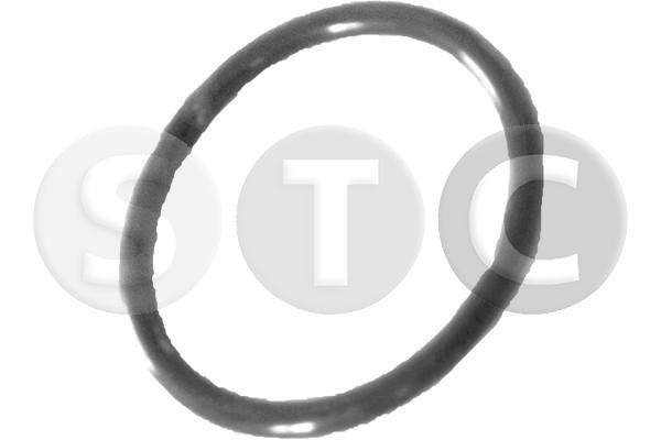 STC T439294 Seal, coolant tube T439294: Buy near me in Poland at 2407.PL - Good price!