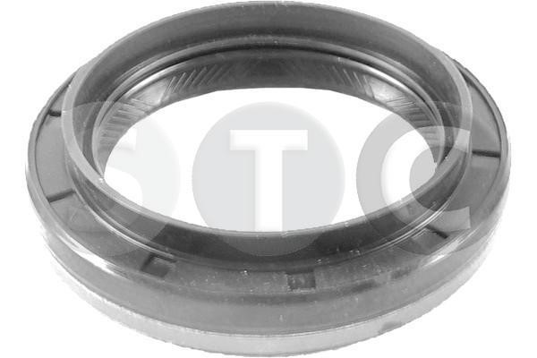 STC T439333 Shaft Seal, manual transmission T439333: Buy near me in Poland at 2407.PL - Good price!