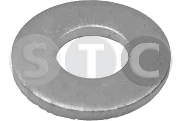 STC T439463 Ring sealing T439463: Buy near me in Poland at 2407.PL - Good price!