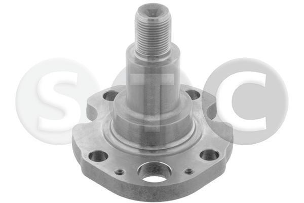STC T415317 Kingpin, axle beam T415317: Buy near me in Poland at 2407.PL - Good price!