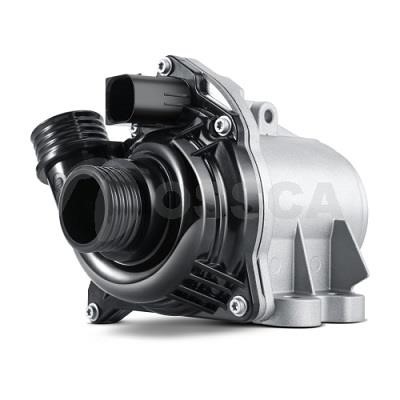 Ossca 29075 Water pump 29075: Buy near me in Poland at 2407.PL - Good price!