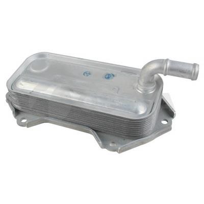 Ossca 29877 Oil Cooler, engine oil 29877: Buy near me in Poland at 2407.PL - Good price!