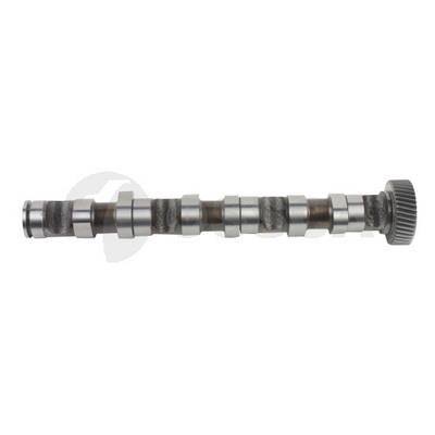 Ossca 22089 Camshaft 22089: Buy near me in Poland at 2407.PL - Good price!