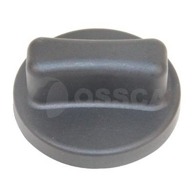 Ossca 41506 Fuel Door Assembly 41506: Buy near me at 2407.PL in Poland at an Affordable price!