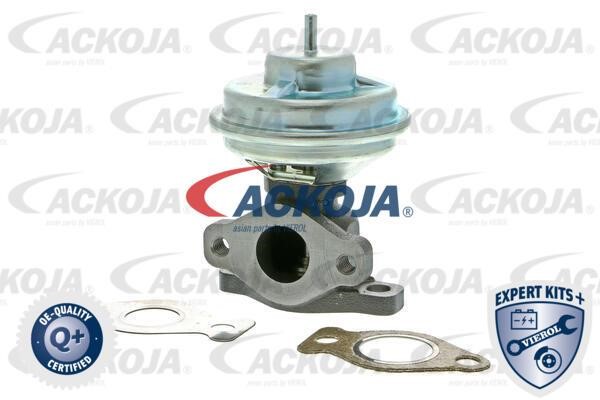 Ackoja A52-63-0001 AGR-Ventil A52630001: Kaufen Sie zu einem guten Preis in Polen bei 2407.PL!