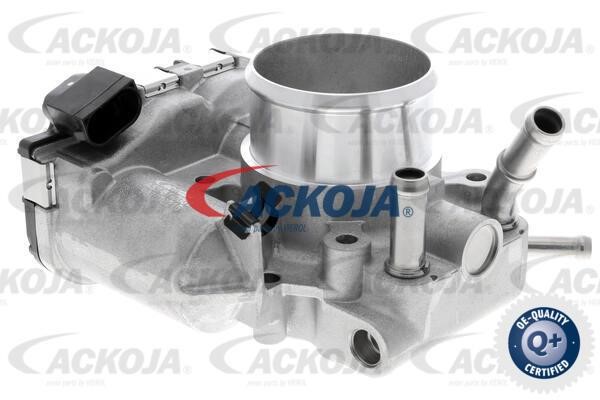 Ackoja A53-81-0001 Pipe branch A53810001: Buy near me in Poland at 2407.PL - Good price!