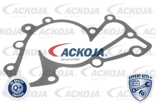 Buy Ackoja A52-0711 at a low price in Poland!