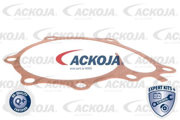 Kup Ackoja A53-0702 w niskiej cenie w Polsce!