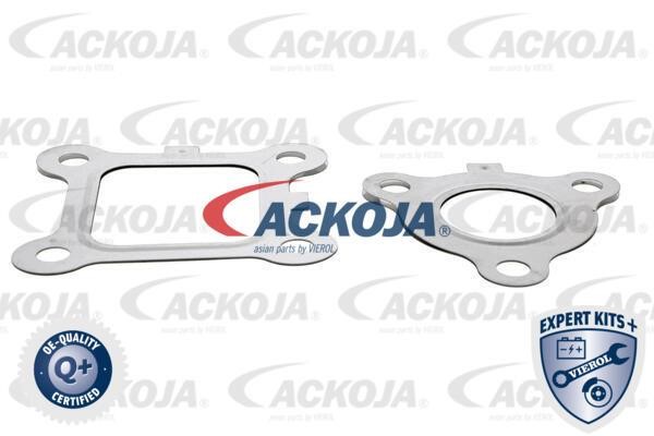 Купить Ackoja A53-63-0001 по низкой цене в Польше!