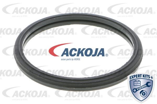 Kup Ackoja A70-99-0012 w niskiej cenie w Polsce!