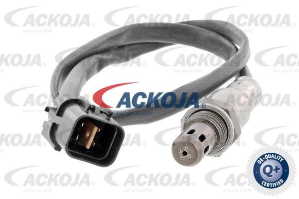 Ackoja A52-76-0019 Датчик A52760019: Отличная цена - Купить в Польше на 2407.PL!