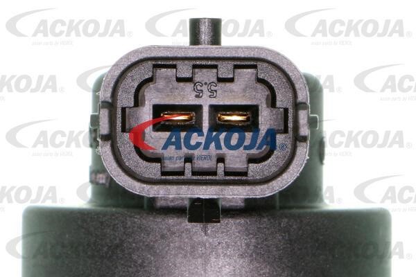 Купити Ackoja A52-25-0002 за низькою ціною в Польщі!