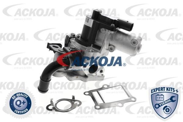 Ackoja A52-63-0013 Клапан A52630013: Купить в Польше - Отличная цена на 2407.PL!