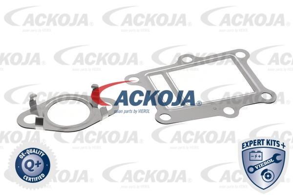 Купить Ackoja A52-63-0013 по низкой цене в Польше!