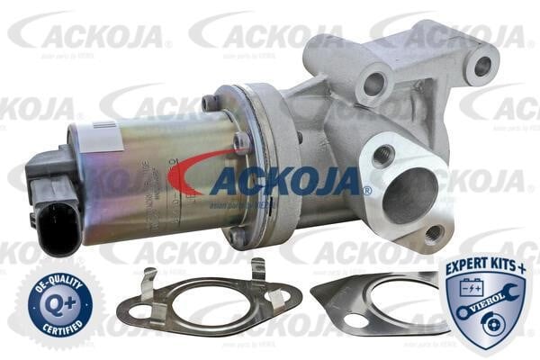 Ackoja A52-63-0020 Valve A52630020: Buy near me in Poland at 2407.PL - Good price!