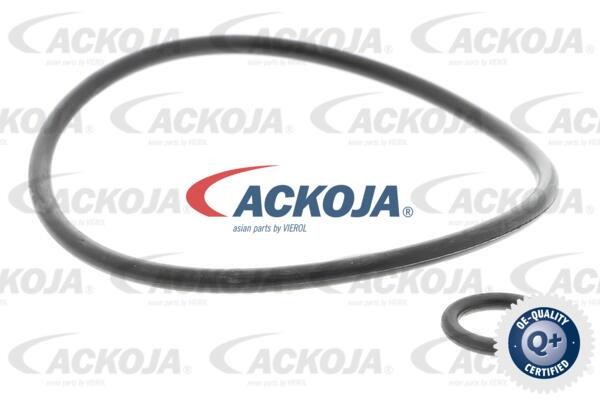 Kup Ackoja A52-0500 w niskiej cenie w Polsce!