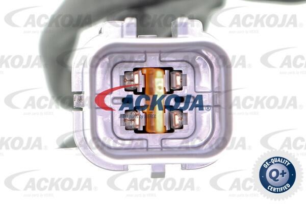 Kaufen Sie Ackoja A53-76-0012 zu einem günstigen Preis in Polen!