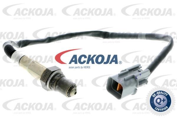 Ackoja A53-76-0012 Sensor A53760012: Kaufen Sie zu einem guten Preis in Polen bei 2407.PL!