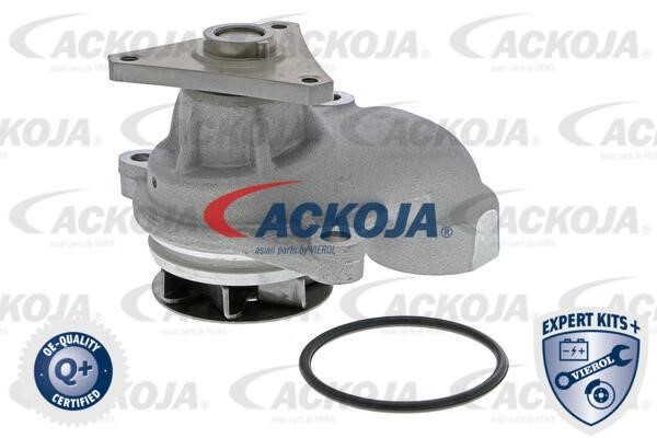 Ackoja A52-0709 Wasserpumpe A520709: Kaufen Sie zu einem guten Preis in Polen bei 2407.PL!