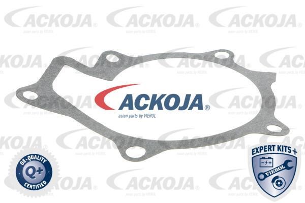 Купити Ackoja A52-0706 за низькою ціною в Польщі!