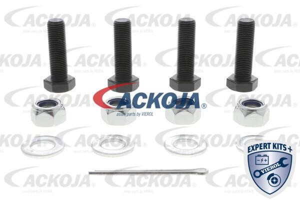 Buy Ackoja A37-1131 at a low price in Poland!