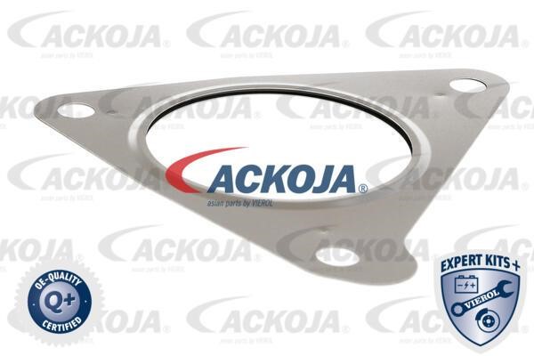 Kaufen Sie Ackoja A53-63-0003 zu einem günstigen Preis in Polen!
