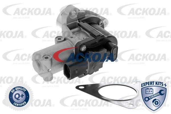 Ackoja A53-63-0003 Клапан A53630003: Отличная цена - Купить в Польше на 2407.PL!