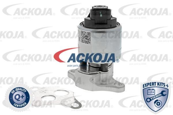 Ackoja A51-63-0005 Клапан A51630005: Отличная цена - Купить в Польше на 2407.PL!