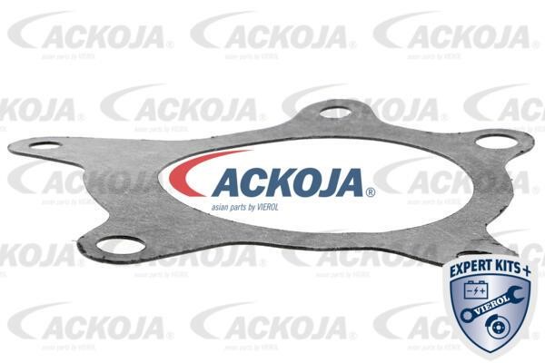 Kup Ackoja A52-0705 w niskiej cenie w Polsce!
