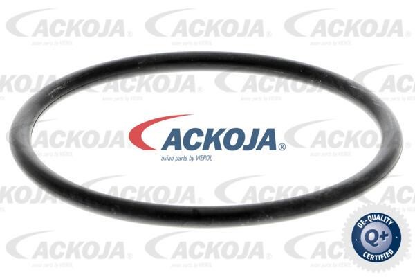 Kup Ackoja A52-0703 w niskiej cenie w Polsce!
