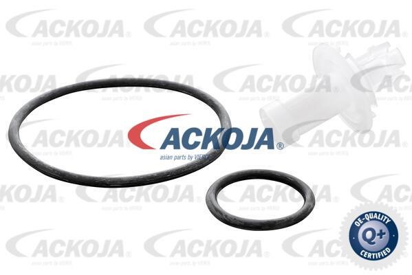 Kup Ackoja A70-0500 w niskiej cenie w Polsce!