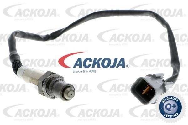 Ackoja A53-76-0007 Sensor A53760007: Buy near me in Poland at 2407.PL - Good price!