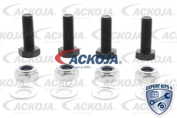 Buy Ackoja A70-9500 at a low price in Poland!