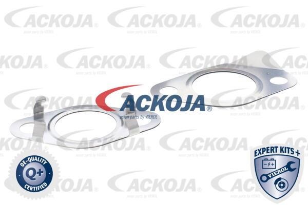 Kaufen Sie Ackoja A52-63-0006 zu einem günstigen Preis in Polen!