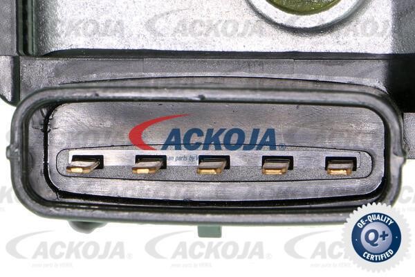 Buy Ackoja A52-07-0101 at a low price in Poland!