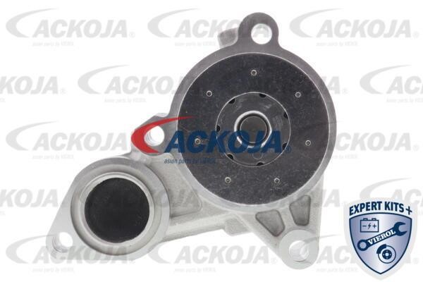 Buy Ackoja A52-0704 at a low price in Poland!