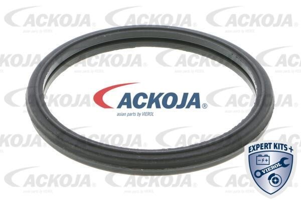Купити Ackoja A64-99-0006 за низькою ціною в Польщі!