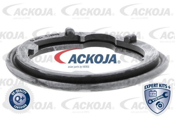 Купить Ackoja A26-99-0009 по низкой цене в Польше!