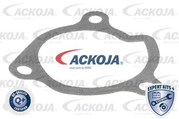 Buy Ackoja A38-50005 at a low price in Poland!