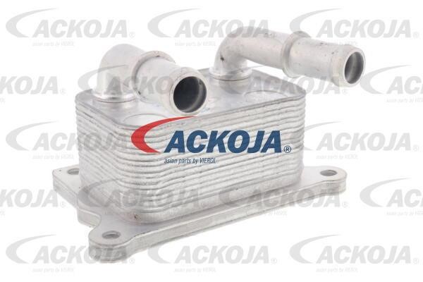 Ackoja A38-60-0004 Oil Cooler, engine oil A38600004: Buy near me in Poland at 2407.PL - Good price!