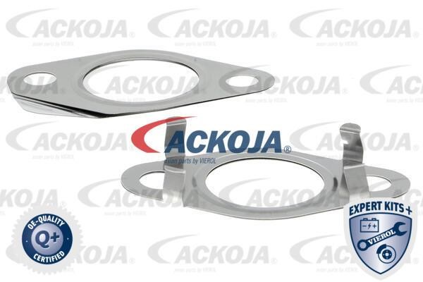Kup Ackoja A52-63-0014 w niskiej cenie w Polsce!