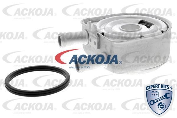 Ackoja A52-60-0010 Oil Cooler, engine oil A52600010: Buy near me in Poland at 2407.PL - Good price!