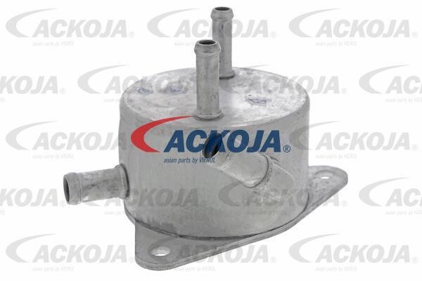 Ackoja A70-60-0002 Oil Cooler, automatic transmission A70600002: Buy near me in Poland at 2407.PL - Good price!