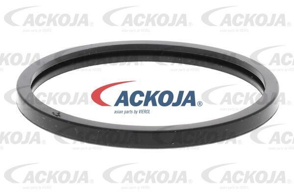 Buy Ackoja A38-99-0003 at a low price in Poland!