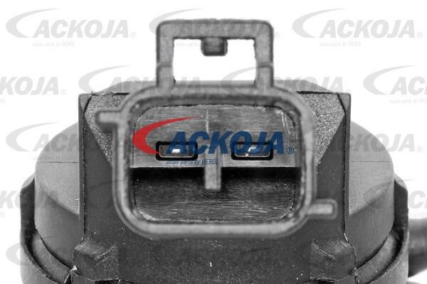 Buy Ackoja A70-08-0005 at a low price in Poland!