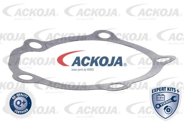 Kup Ackoja A64-50001 w niskiej cenie w Polsce!